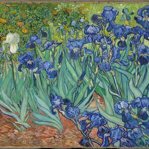 Vincent t van Gogh - Irises (1889)