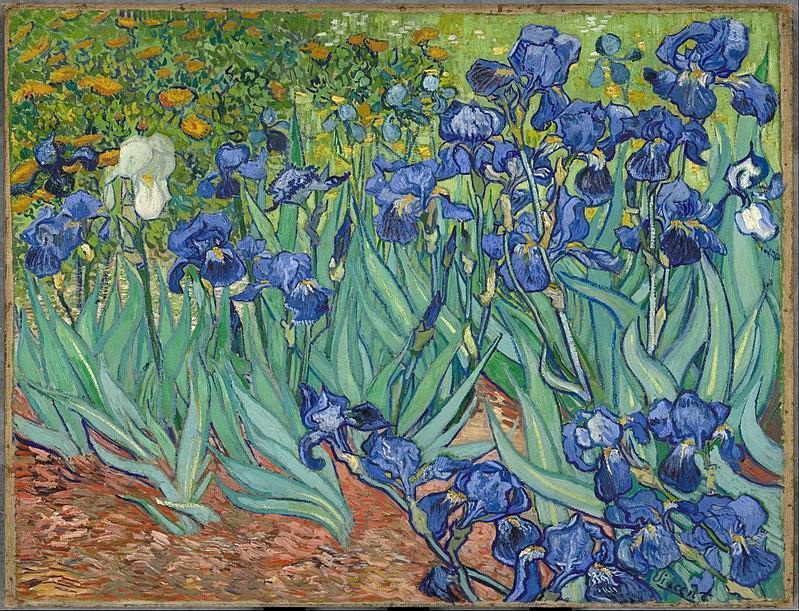 Vincent t van Gogh - Irises (1889)